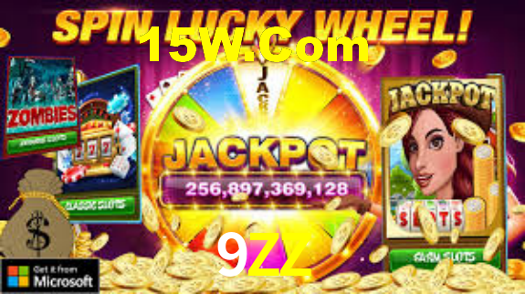 Premium Interface 9ZZ