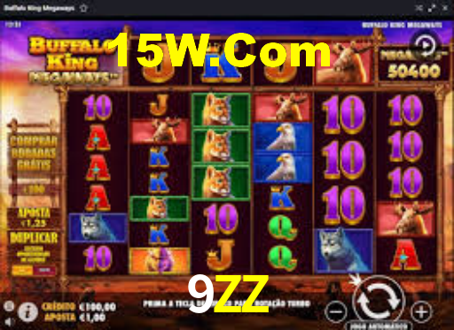 9ZZ App Interface